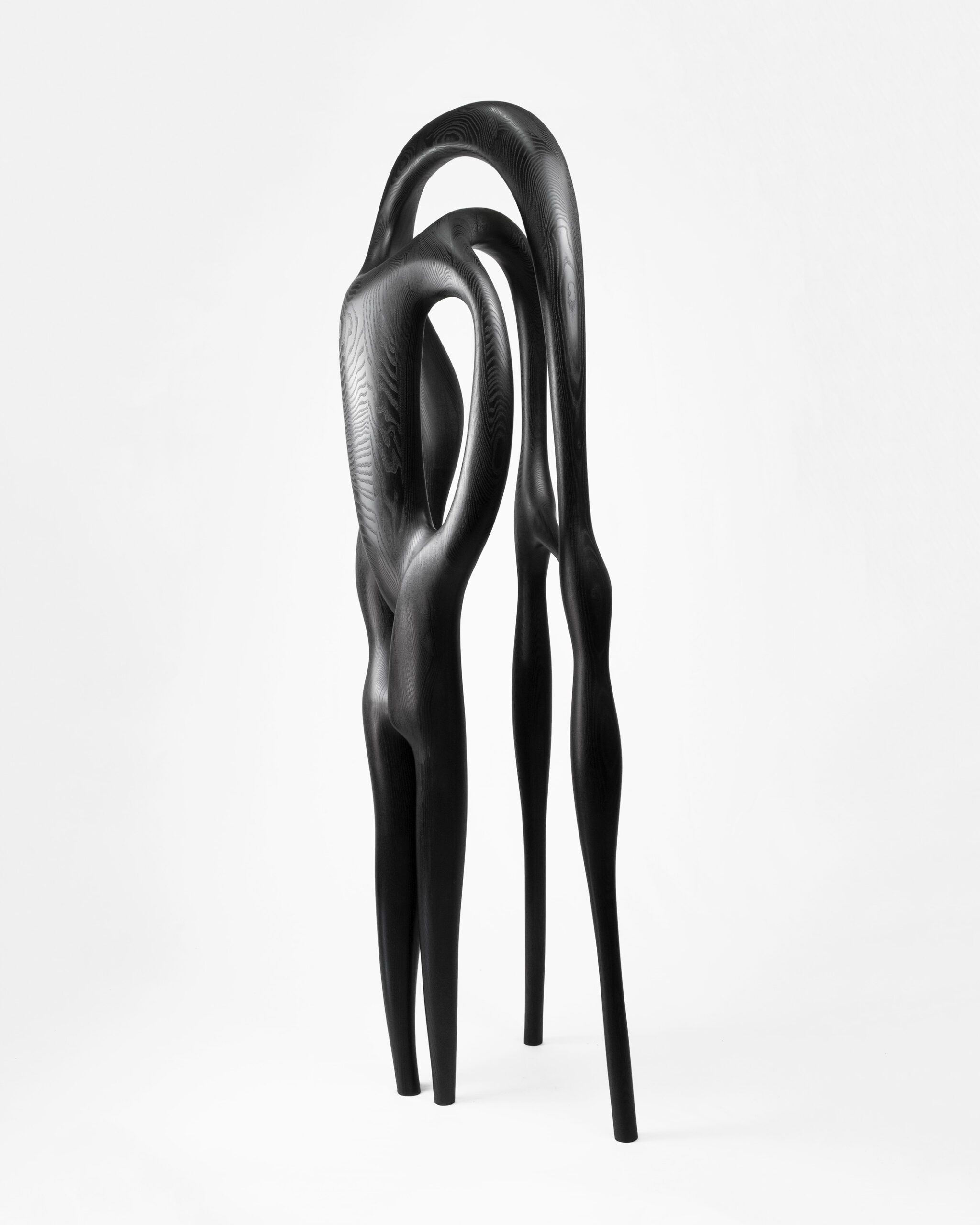 Art - contemporain - galerie d'art - galerie - bois - Maxime Goléo - sculpture - organique - nature - design - designer - artiste