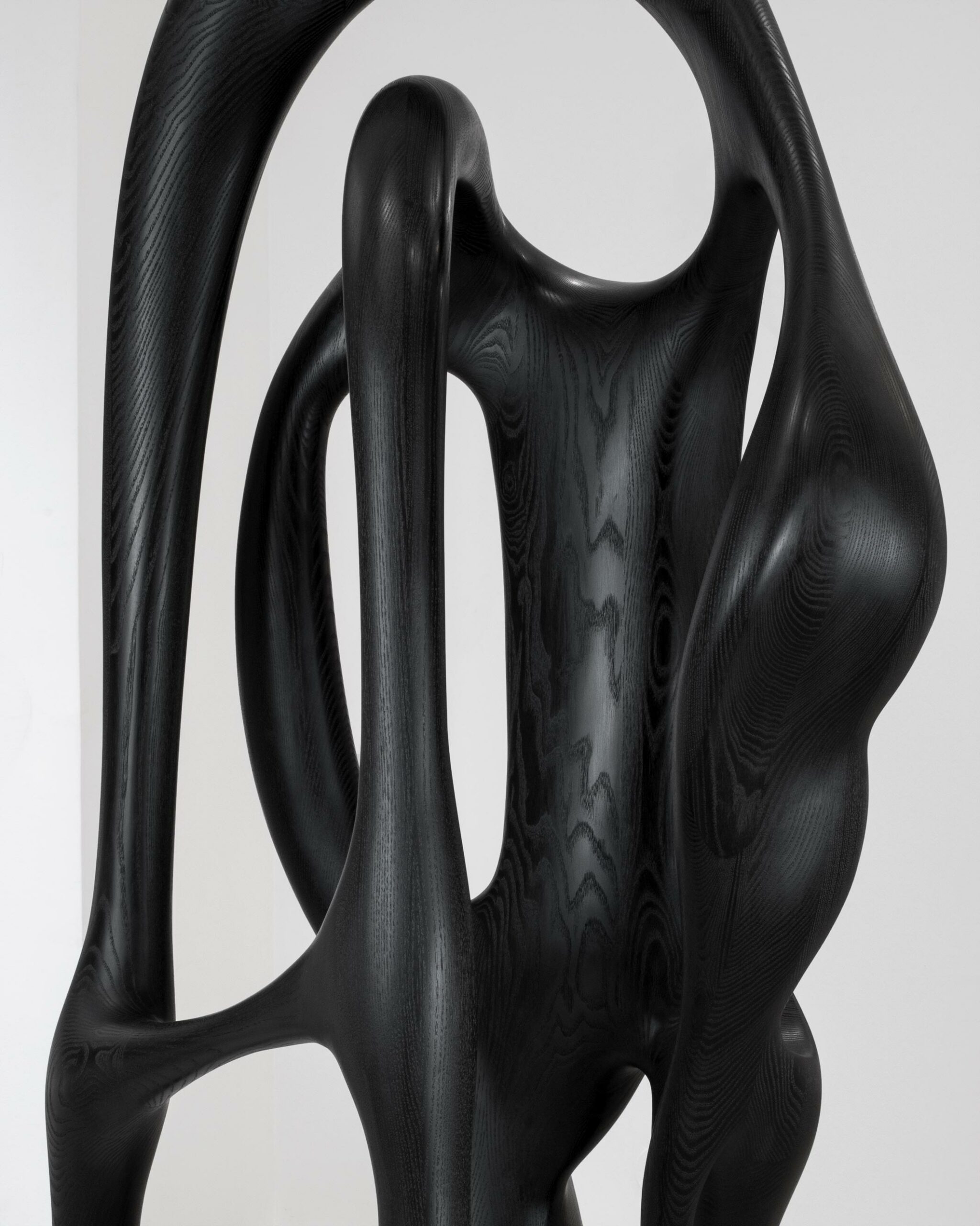 Art - contemporain - galerie d'art - galerie - bois - Maxime Goléo - sculpture - organique - nature - design - designer - artiste