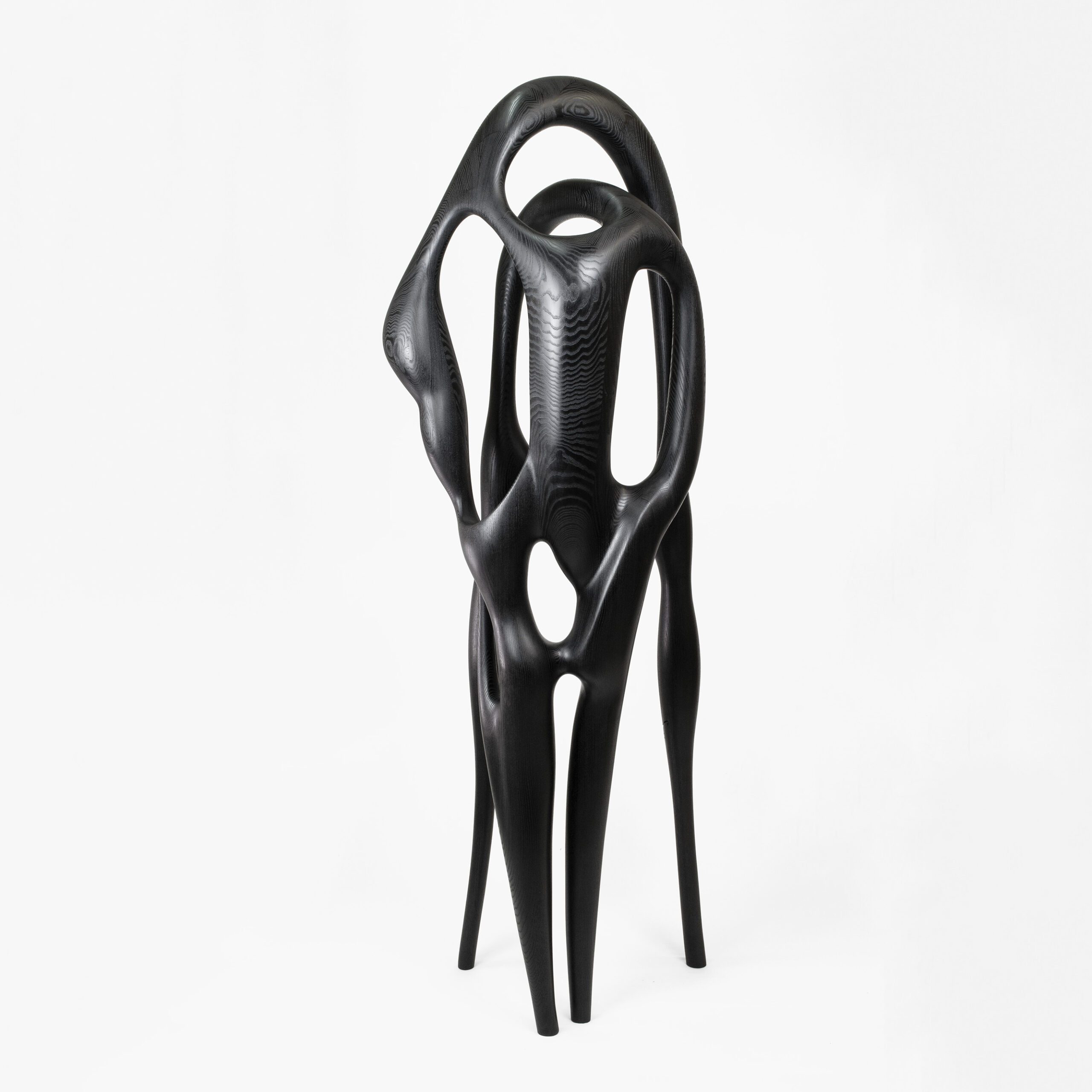 Art - contemporain - galerie d'art - galerie - bois - frêne teinté noir - Maxime Goléo - sculpture - organique - nature - design - designer - artiste