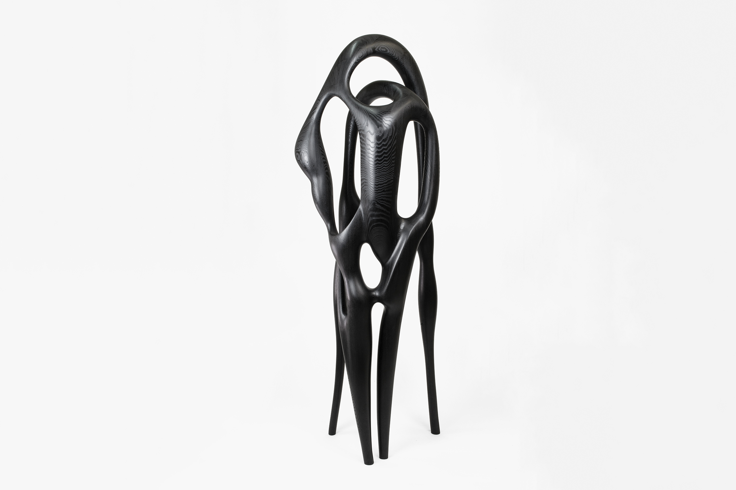 Art - contemporain - galerie d'art - galerie - bois - frêne teinté noir - Maxime Goléo - sculpture - organique - nature - design - designer - artiste